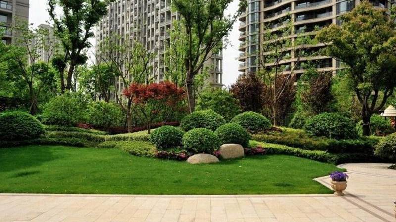 欧冠决赛直播时间怎么查?开球安排与观看渠道全解析
